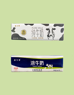 團隊實力